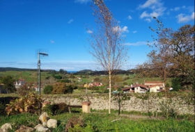 Pola de Siero 1249&nbsp;m²