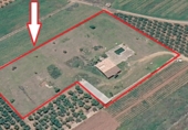 Chalet independiente con terreno en venta en Torreblanca ref: TR414697 foto
