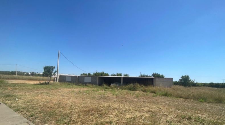 Castellón - Torreblanca - 10845m2