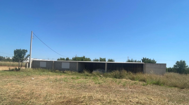 Castellón - Torreblanca - 10845m2