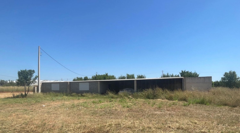 Castellón - Torreblanca - 10845m2