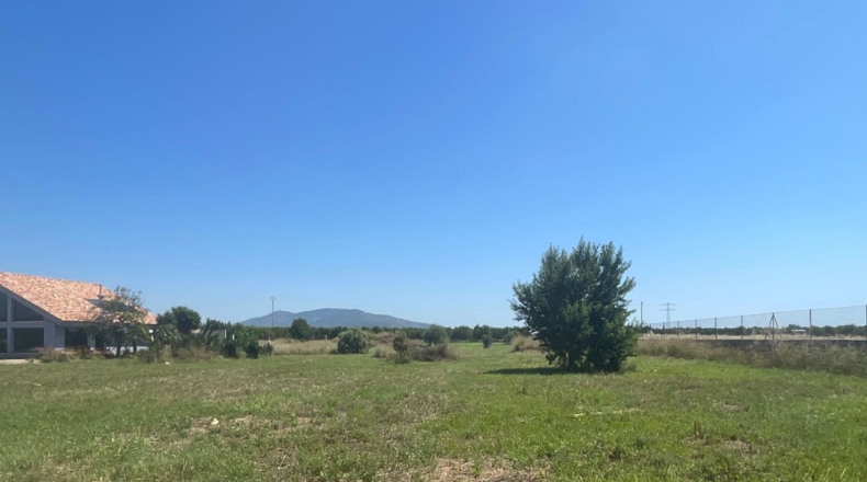 Castellón - Torreblanca - 10845m2
