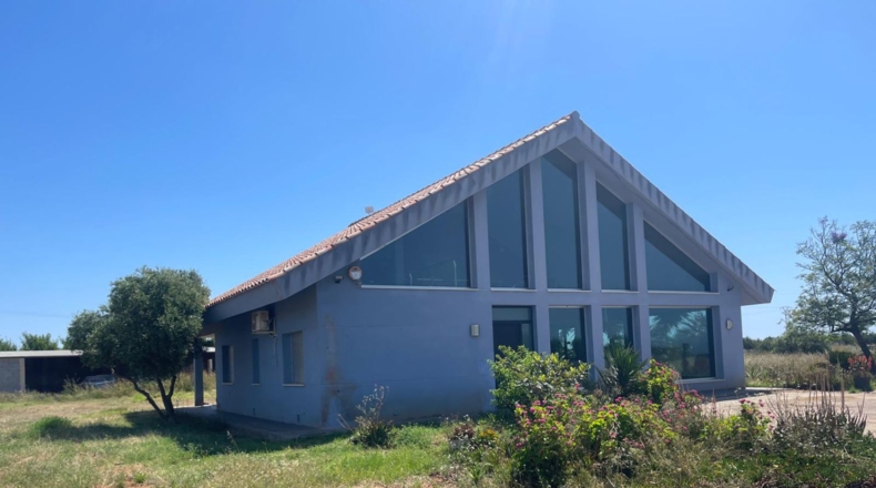 Castellón - Torreblanca - 10845m2
