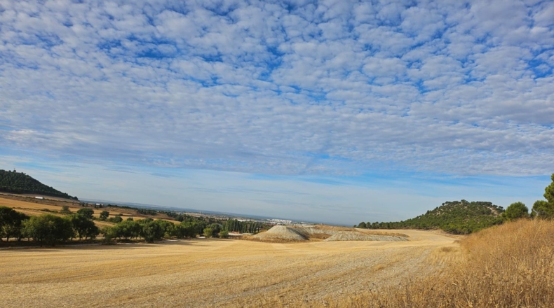 Valladolid - La Cistérniga - 200000m2