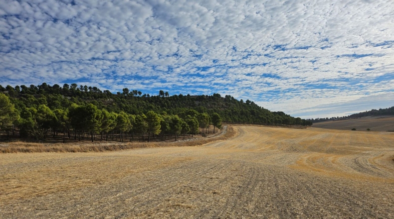 Valladolid - La Cistérniga - 200000m2