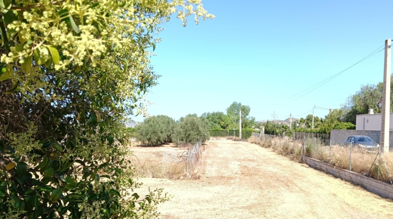 Alicante - Aspe - 2317m2