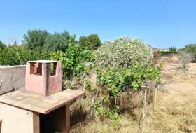 Foto 20