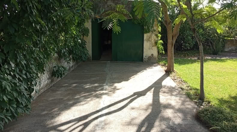 Sevilla - Los Palacios y Villafranca - 12000m2