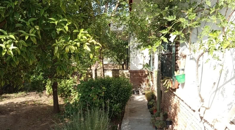 Sevilla - Los Palacios y Villafranca - 12000m2