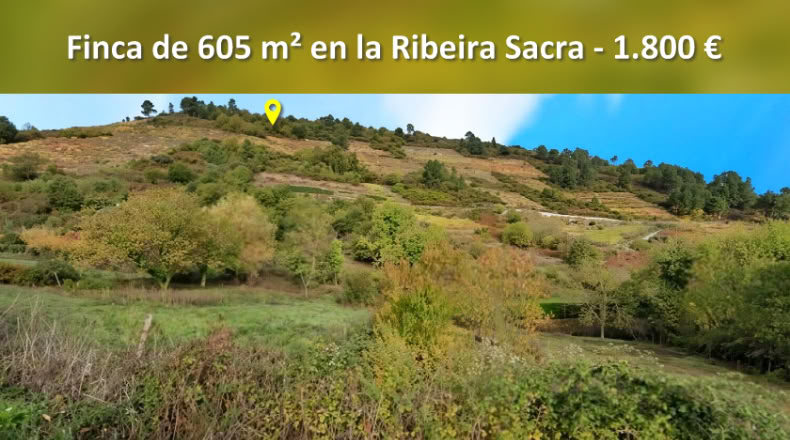 Orense - A Teixeira - 605m2