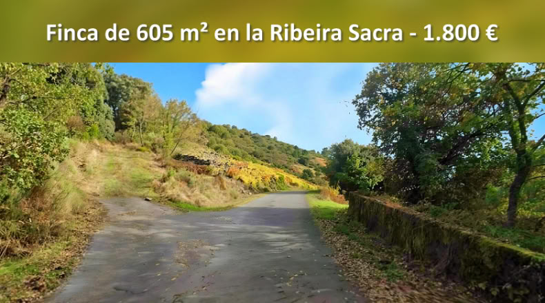 Orense - A Teixeira - 605m2