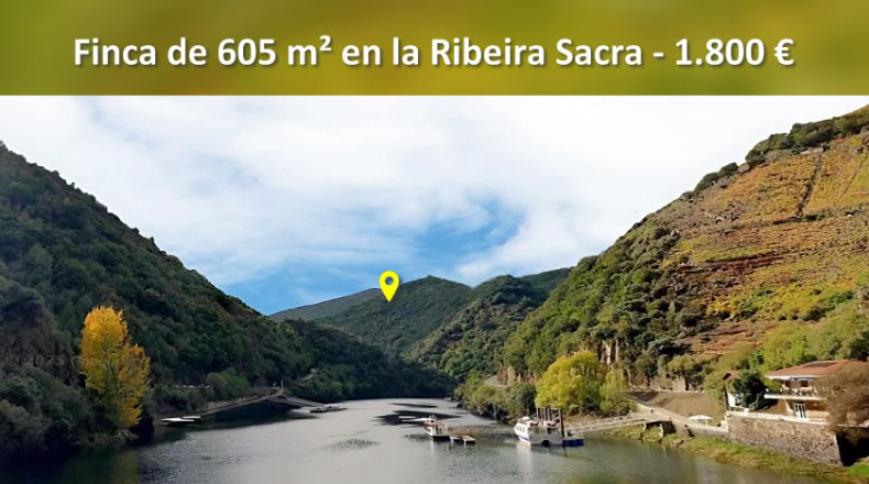 Orense - A Teixeira - 605m2