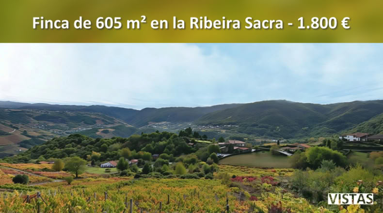 Orense - A Teixeira - 605m2