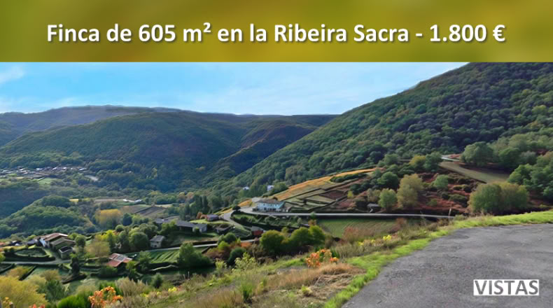 Orense - A Teixeira - 605m2