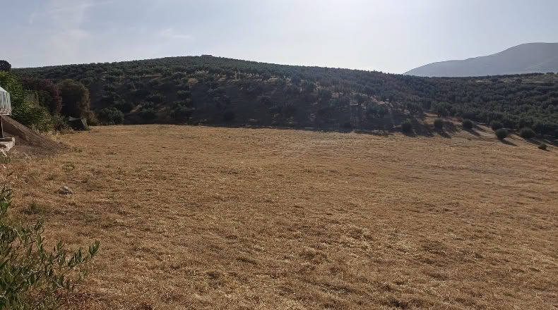 Jaen - La Guardia de Jaén - 8170m2