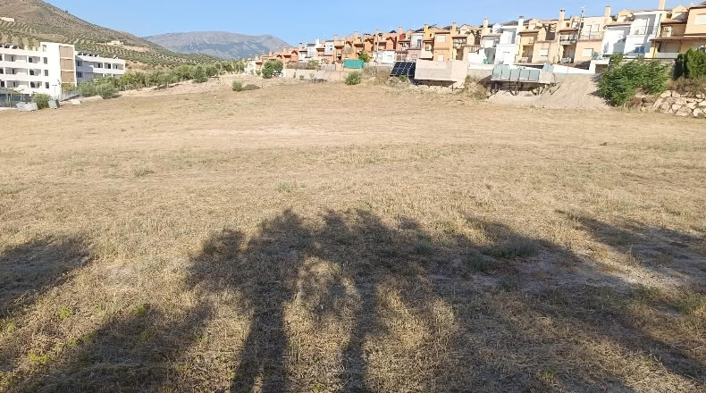 Jaen - La Guardia de Jaén - 8170m2