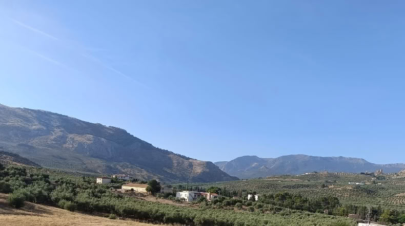 Jaen - La Guardia de Jaén - 8170m2