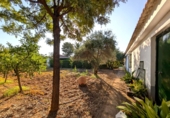 Villa con terreno en venta en la España, Linares, ref: TR312461 foto