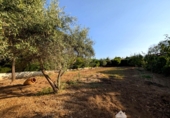 Villa con terreno en venta en la España, Linares, ref: TR312461 foto