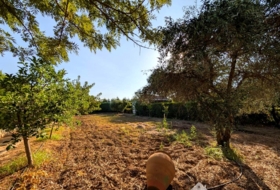 Foto 17