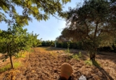 Villa con terreno en venta en la España, Linares, ref: TR312461 foto