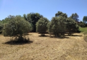 Urban land for sale on España, Cubillos del Sil, ref: TR414729 photo