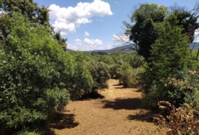 Cubillos del Sil 1353&nbsp;m²