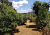 Urban land for sale on España, Cubillos del Sil, ref: TR414729 photo