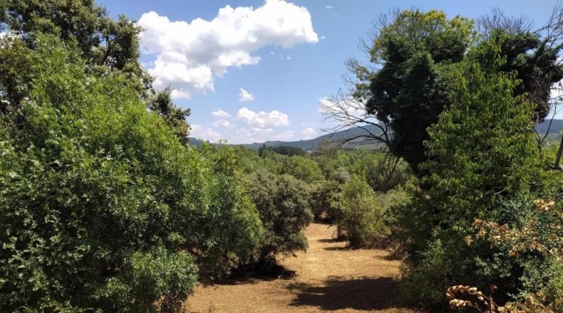 León - Cubillos del Sil - 1353m2
