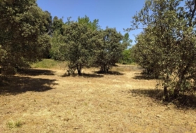 Cubillos del Sil 1353&nbsp;m²
