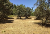 Urban land for sale on España, Cubillos del Sil, ref: TR414729 photo