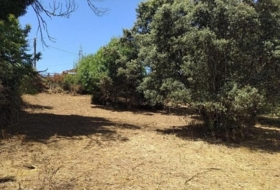 Cubillos del Sil 1353&nbsp;m²