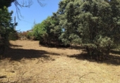 Urban land for sale on España, Cubillos del Sil, ref: TR414729 photo