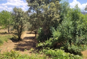 Cubillos del Sil 1353&nbsp;m²