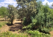 Urban land for sale on España, Cubillos del Sil, ref: TR414729 photo