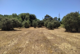 Cubillos del Sil 1353&nbsp;m²