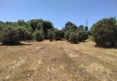 Urban land for sale on España, Cubillos del Sil, ref: TR414729 photo