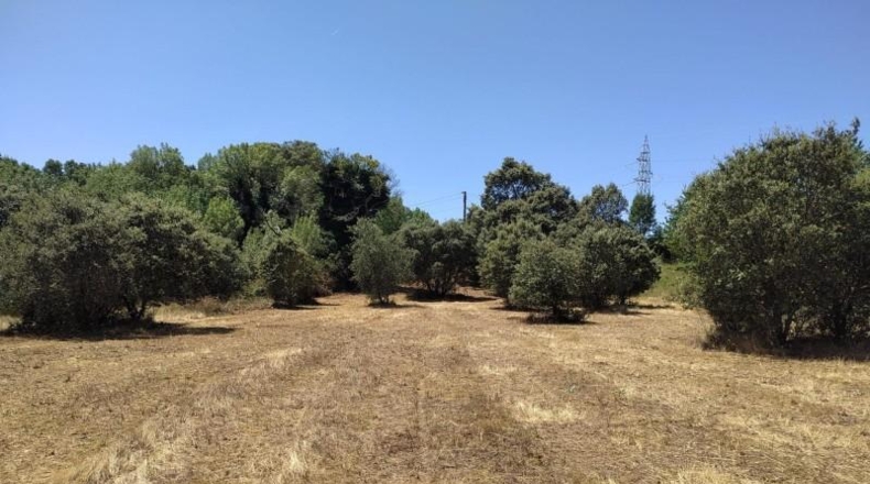 León - Cubillos del Sil - 1353m2