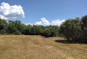Cubillos del Sil 1353&nbsp;m²