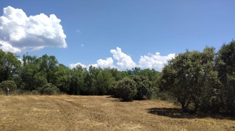 León - Cubillos del Sil - 1353m2