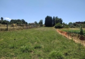 Urban land for sale on España, Cabañas Raras, ref: TR414721 photo