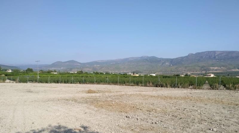 Murcia - Moratalla - 2843m2