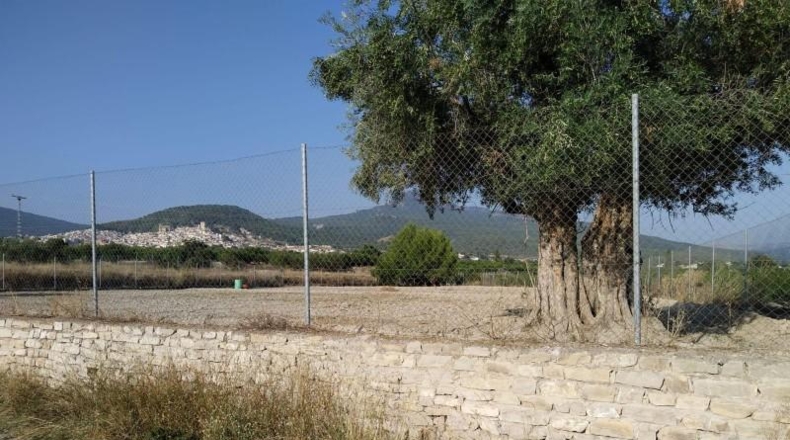Murcia - Moratalla - 2843m2