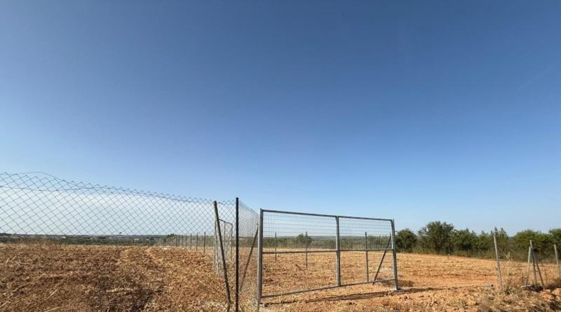 Sevilla - Pilas - 11970m2