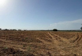 Pilas 11970&nbsp;m²