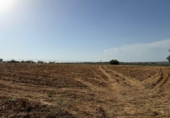 Terreno no urbanizable en venta en la España, Pilas, ref: TR414737 foto