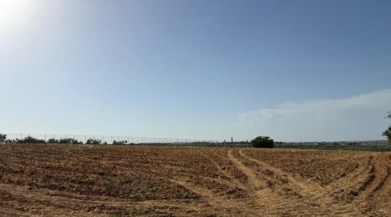 Sevilla - Pilas - 11970m2