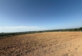 Pilas 11970&nbsp;m²