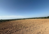 Terreno no urbanizable en venta en la España, Pilas, ref: TR414737 foto