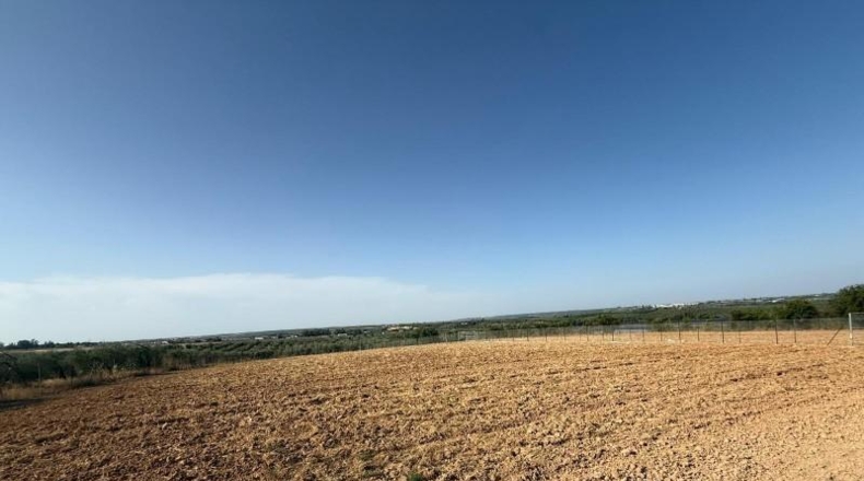 Sevilla - Pilas - 11970m2
